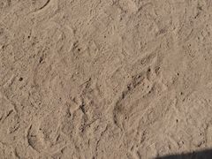 Boden in Einzelteilen