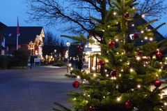 20 Tannen pro Einwohner