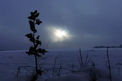 Viel Übel im November?