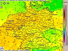 Fr&uuml;hling pur am Nachmittag