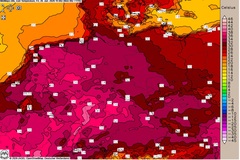 Bis zu 40 Grad drohen: Aktuelle Hitzewelle wird zur Lebensgefahr