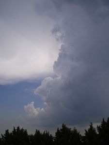 Fast 40 Grad: Deutschland ger&auml;t unter Hochspannung